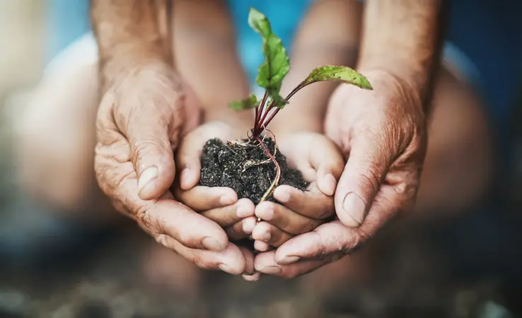 Klimaschutz und nachhaltiger Gartenbau bei Firma Will in Neuwied