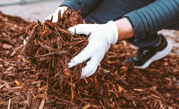 Rindenmulch und hochwertige Pflanzerde für gutes Wachstum