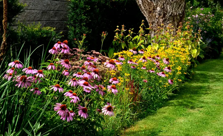 Winterharte Stauden und Ziergräser für die Gartengestaltung