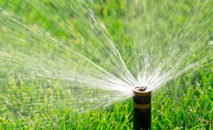 Bewässerung von Baumschule Will