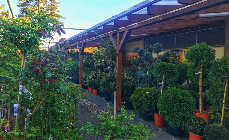Verkauf und Beratung im Gartencenter von Baumschule Will Neuwied