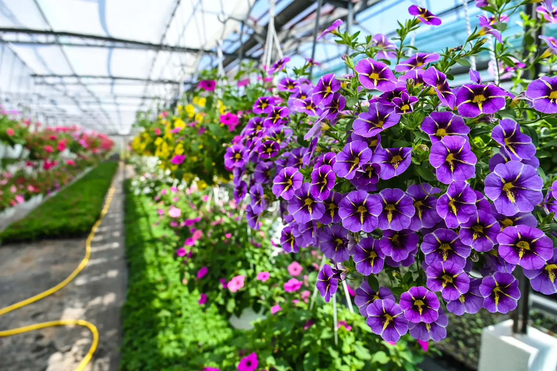 Gartencenter