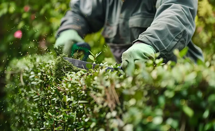Fachgerechter Rückschnitt von Hecken und Sträuchern bei Koblenz