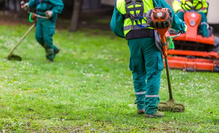 Gartenpflege für Privatgärten und Anlagen in Neuwied und Region
